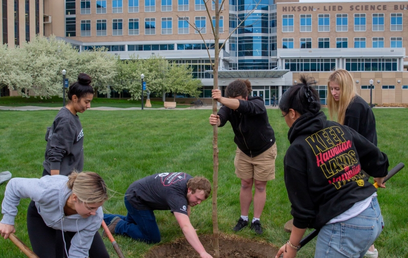 A group plants trees on the campus of Creighton University.